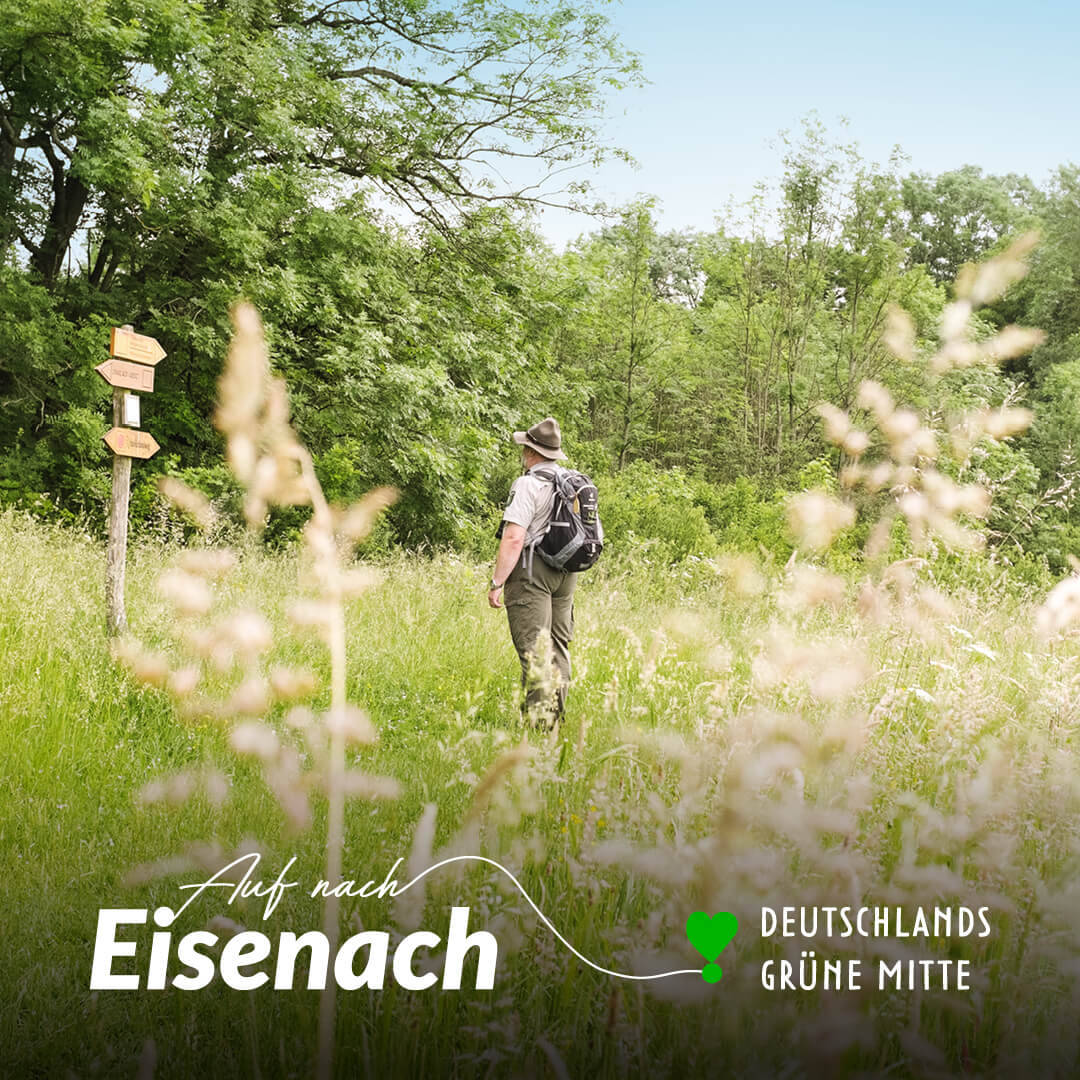 Eisenach-Tag 08-Nationalpark Hainich