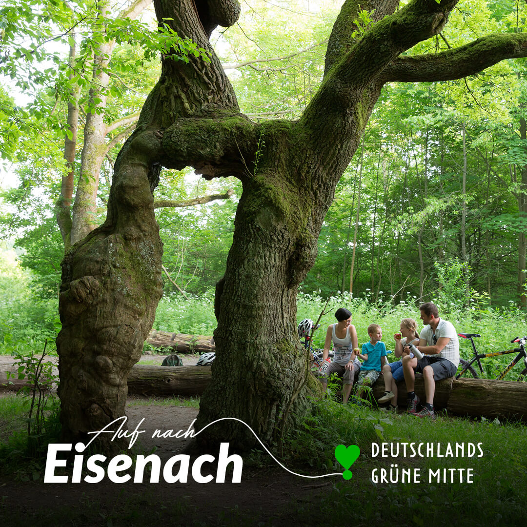 Eisenach-Tag 08-Nationalpark Hainich3